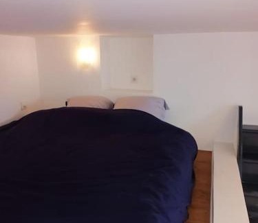 Voiron Apartment | Grand studio avec mezzanine