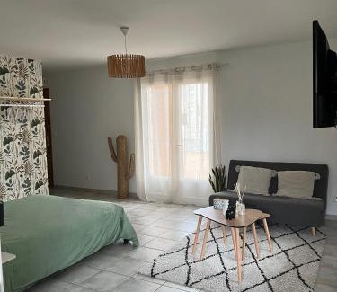 Auch Apartment | Grand studio avec véranda et parking