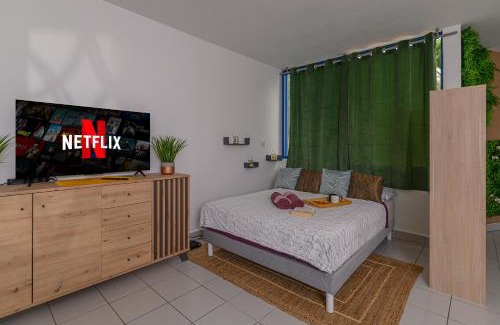 Sainte-Clotilde Apartment | Grand Studio Le Modern Jungle - Résidence Les Jacquiers