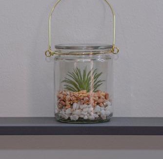 Sainte-Clotilde Apartment | Grand Studio Le Modern Jungle - Résidence Les Jacquiers