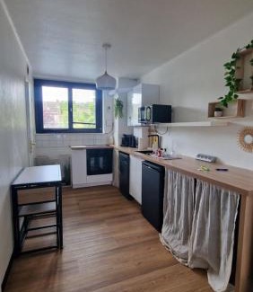 Lille-Moulins Apartment | Grand studio Lille centre