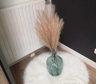 Orly Apartment | Grand T2 avec jardin et parking proche Paris et Orly