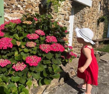 Rebais House | Grande maison avec piscine 13 couchages proche Paris