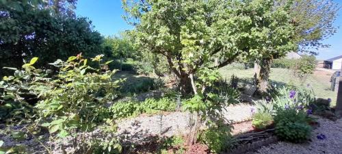 Vatan House | Grande maison de campagne 4 chambres doubles jardin