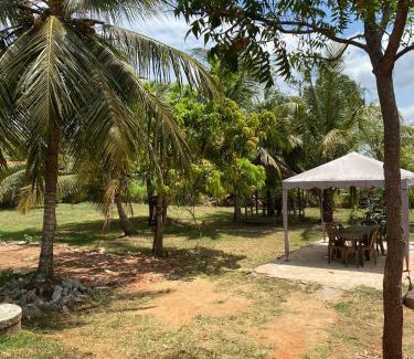 Attikulama Hotel | Grandmila Resort