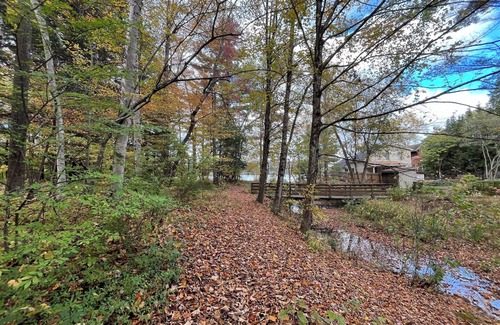 Glendale Cottage | Grandparent’s Cottage 250 steps to the lake