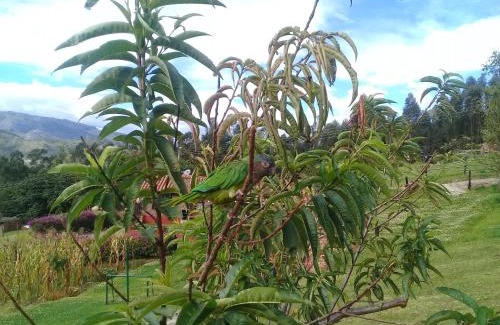 Nobsa House | Granja el Milagro - Cabañas Campestres