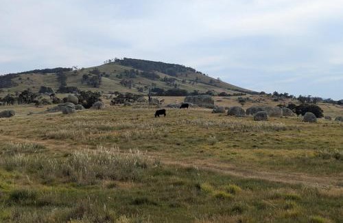 Nulla Vale House | Granum Farm