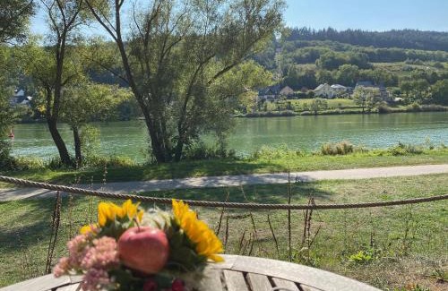 Zell House | Grape Escape Zell