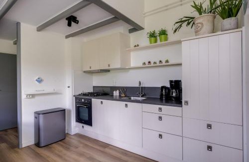 Zwiggelte House | Grasmus I Kalme Woning met Openhaard en Tuin