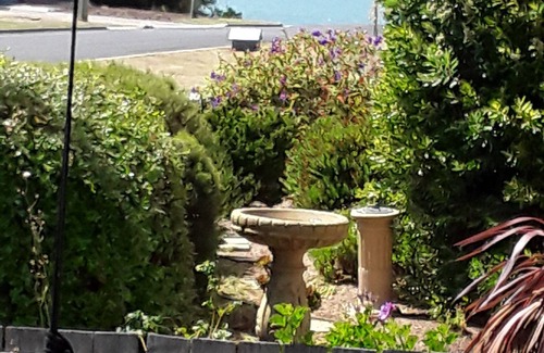 Swansea Cottage | Great accommodation. Full bath, Quiet area. House to yourself & close beaches.
