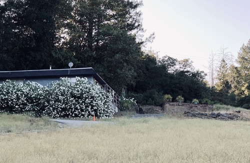 Santa Rosa Cabin | Great cabin located in the middle of wine country, St. Helena & Calistoga
