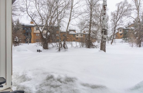 Steamboat Springs Hotel | Great Deal! Serene Unit, Near Ski Lifts, Free Shuttle Service, Hot Tub, Jacuzzi, Mountain Biking