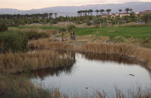 Palm Desert Villa | Great HomeBase for Coachella Festival-Sleeps 8 in Luxury 2BR 2Bath Villa