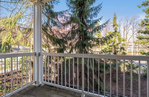 McLean Apartment | Great location in Virgina Tysons area 2 bedroom