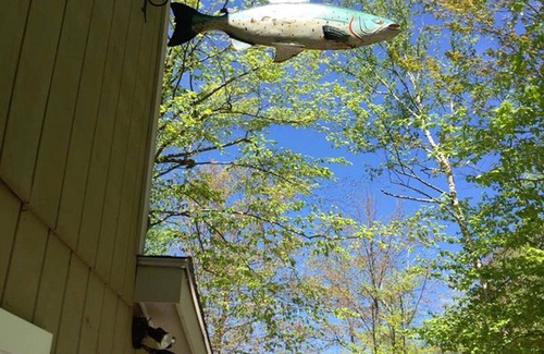 Standish House | Great location on Frye Island, Sebago Lake directly across from Quail Cir Marina