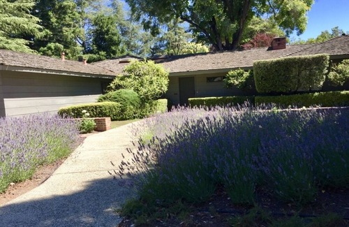 Leland Manor House | Great location with pool, hot tub and huge yard