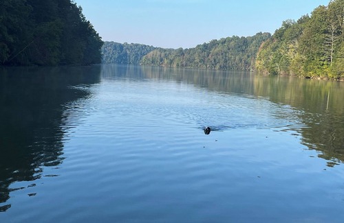 Estill Springs House | Great waterfront property on Tims Ford Lake! FLAT LOT, DOCK & 400 ft of shore!