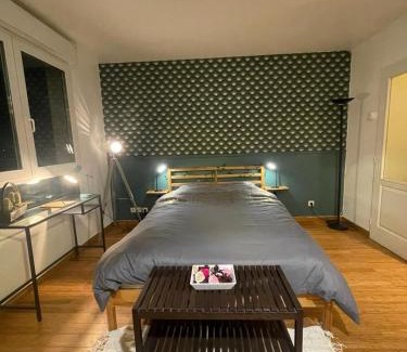 Lille Bed & Breakfast | Green Balcony Lille Hyper centre