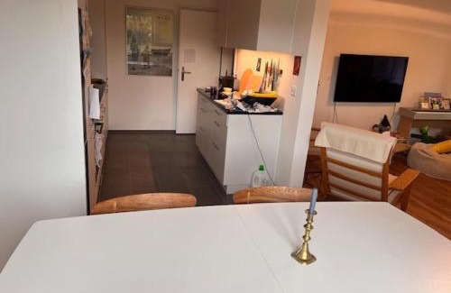 Binningen Apartment | Green Basel Home