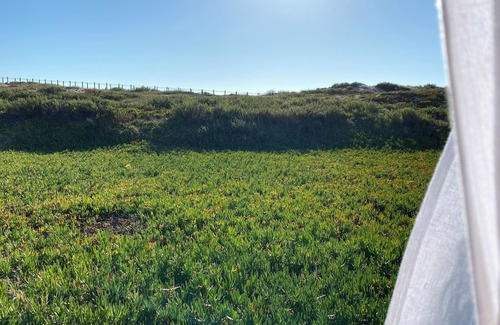 Vila Nova de Gaia House | Green Dunes House