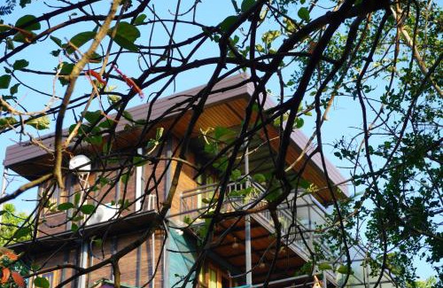 Dambulla Resort | Green Earth Resort