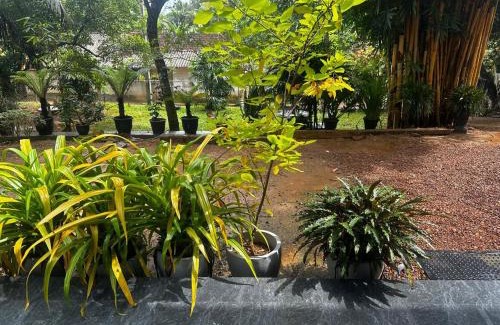 Bandaranayake Apartment | Green Grass Villa