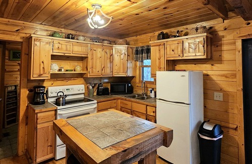 Logan Cabin | Green Heron in Hocking Hills