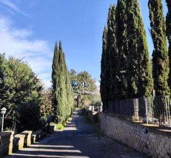 Frascati Hotel | Green Hotel Poggio Regillo