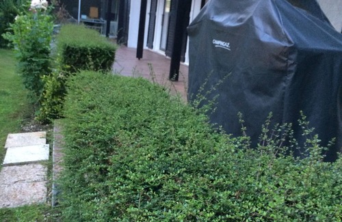 Savigny-sur-Clairis Cottage | Green house for rent