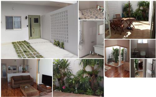 Minatogawa House | Green House