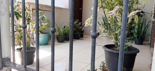 Galle Apartment | Green Jade Inn Galle