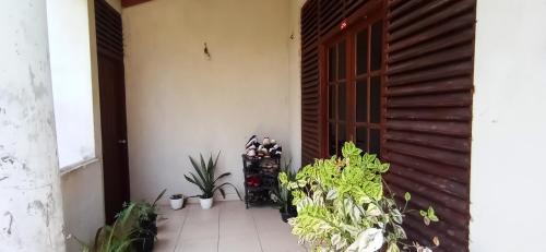 Galle Apartment | Green Jade Inn Galle