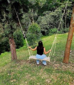 Medellin Other | Green mount