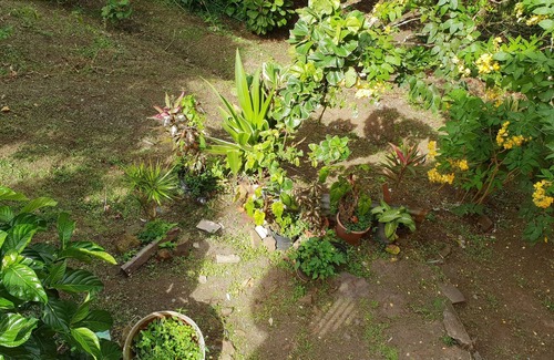 Saint-Esprit Apartment | Green setting - Tranquility assured