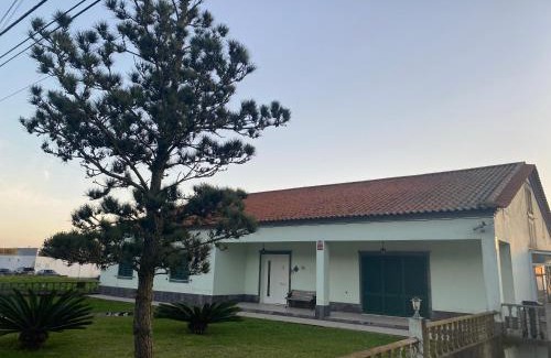 Ponta Delgada House | Green Tropical House