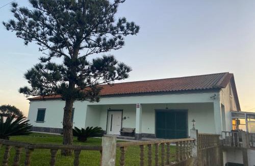 Ponta Delgada House | Green Tropical House