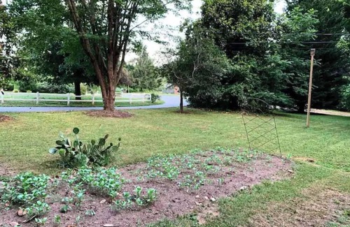 Asheville Cottage | Green Valley Cottage