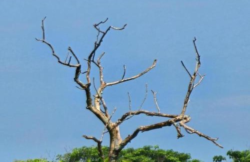 Negombo House | Green Village Negombo