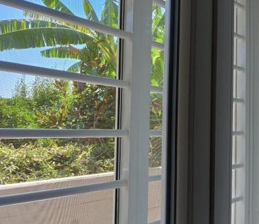 Municipio 5 House | Green54oro