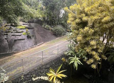 Harispattuwa Bed & Breakfast | Greenbell villa