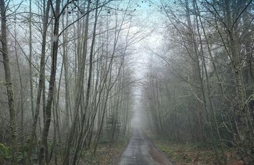 Port Angeles East House | Greentree Pacific House