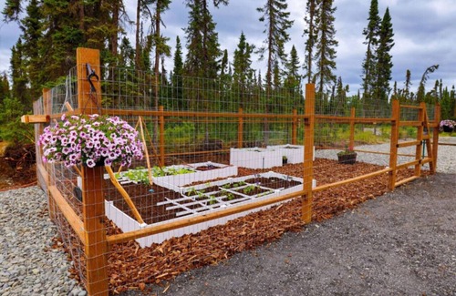 Kenai Cabin | Grill|Close to Fishing|Cabin 2