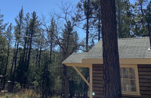 Star Valley Ski Chalet | Grizzly Pines | Off-Grid Chalet in the Woods |
