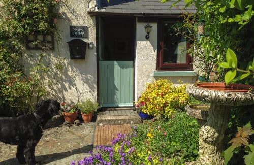 Bude House | Groom Cottage