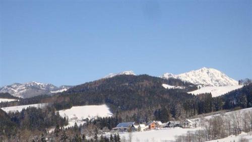 Goestling an der Ybbs Apartment | Gross Lettenwag