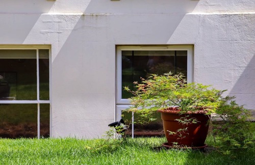 Royal Tunbridge Wells Apartment | Grosvenor Abode