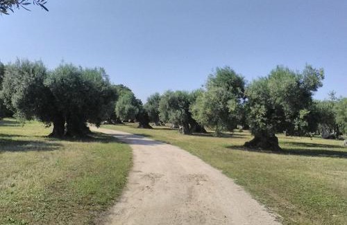 Castellaneta House | grottedisileno