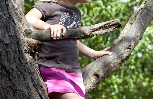 Kootwijk House | Ground floor bungalow with microwave near the Kootwijkerzand