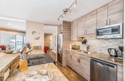 Telluride Condo | Ground-floor walk-to-lift condo with fireplace & W/D - dog-friendly